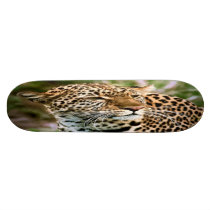 Spotted Leopard Skateboard