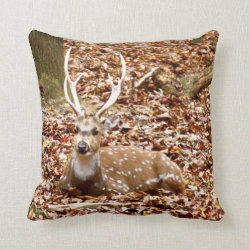 Spotted Male Buck Deer With Antlers in Fall Forest Throw Pillows