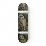 Spotted Owl Skateboard