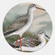 Spotted Redshank and Common Greenshank Stickers
