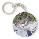 Spotted Sandpiper 1 Key Chain
