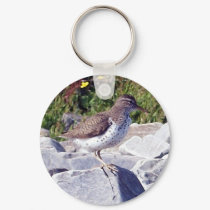 Spotted Sandpiper 1 Key Chain keychains