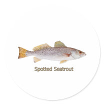 Spotted Seatrout (titled) stickers