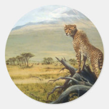 Spotted sentinel, Cheetah Sticker