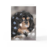 Spotty Cav? Greeting Card