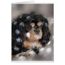 Spotty Cav? Greeting Card