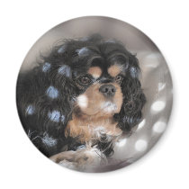 Spotty Cav? magnets