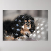 Spotty Cavalier! Print