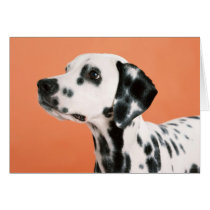 Spotty Dalmatian Cards, Gifts, Postage by designsbydandy Spotty Dalmatian Cards, Gifts, Postage