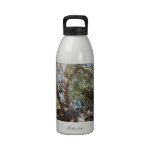 Sprawling Tree Near Santa Barbara on Coast water bottles