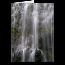 Spray Falls, Mt. Rainier National Park cards