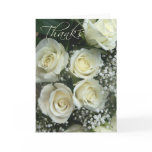 rose, cream roses, baby's breath, rose