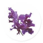 Spray of Purple Orchids stickers
