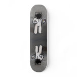 spray paint skate board