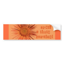 Spread a Little sunshine bumper stickers