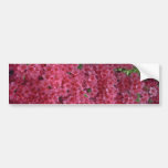 Spread On The Bush Bumper Sticker