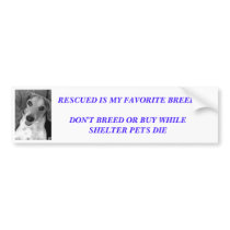 Spread the word bumper sticker