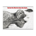 Spread the Word to Save the Seals Postcard