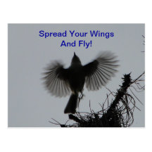 Spread Your Wings And Fly, Tufted Titmouse Post Card