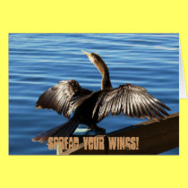 Spread Your Wings! cards