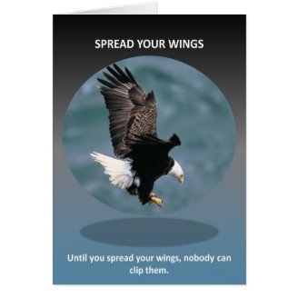 spread-your-wings cards