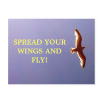 Spread Your Wings Postcard