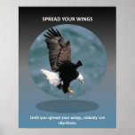 spread-your-wings posters