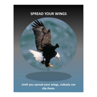 spread-your-wings posters