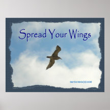 Spread Your Wings - Seagull Poster