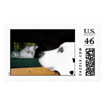 Spree&Kichou postage