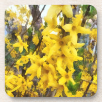 Sprig of Forsythia cork coasters