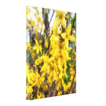 Sprig of Forsythia canvas prints