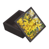 Sprig of Forsythia premium gift boxes