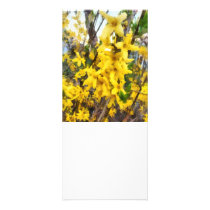 Sprig of Forsythia rack cards