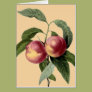 Sprigs of Fruit Card Sprigs of Fruit Card