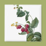Sprigs of Fruit Fridge Magnet Sprigs of Fruit Fridge Magnet