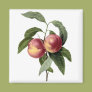 Sprigs of Fruit Fridge Magnets