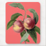 Sprigs of Fruit Mouse Mats Sprigs of Fruit Mouse Mats