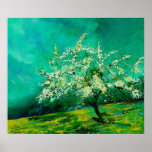 spring 2 print