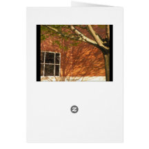 Spring 51 greeting cards