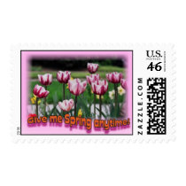 Spring anytime postage