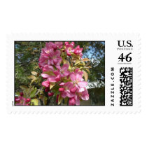 spring at ccc2 postage