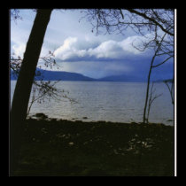 Spring at Jericho Beach posters