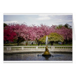 Spring at the Zoo Greeting Card
