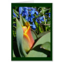 spring awakening cards by ELF1020 spring awakening cards