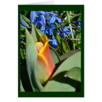 spring awakening cards