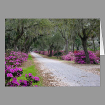 Spring Azaleas cards