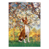 Spring - Basenji Card
