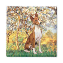 Spring - Basenji Refrigerator Magnets