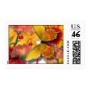 Spring, baxiemur* postage by baxiemur Spring, baxiemur* postage